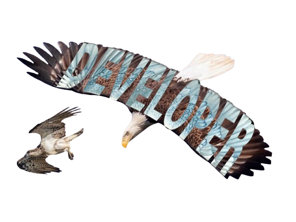 Header representing services provided